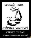 Антон Січкар фотография #41 (источник - https://vk.com/id36101419)