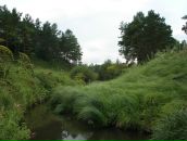 Влад Костін фотография #40 (источник - https://vk.com/id98607971)