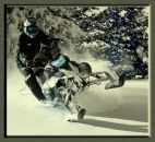 Фотография Старикова Дмитрия