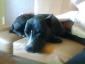 Ліза Науменко фотография #20 (источник - https://vk.com/id86453377)