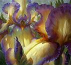 Фотография Филиппович Светланы