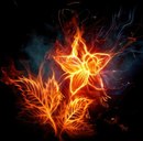 Наташа Біляшевич фотография #22 (источник - https://vk.com/id66731197)