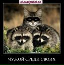 Фотография Мозгина Максима