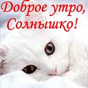 Юля Вівчар фотография #31 (источник - https://vk.com/id108620733)