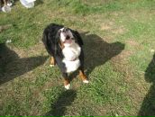 Фотография Ивановой Марины