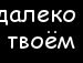 Анатолій Толдусов фотография #13 (источник - https://vk.com/id137133610)