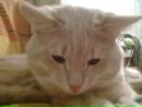 Фотография Котя Заморус