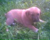 Віка Бобік фотография #3 (источник - https://vk.com/id56781151)