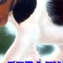 Віталій Лучинський фотография #24 (источник - https://vk.com/id153464348)