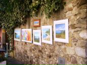 Сергій Січевлюк фотография #11 (источник - https://vk.com/id11026428)