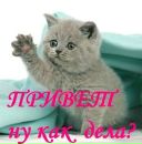 Саша Каледін фотография #3 (источник - https://vk.com/id135590237)