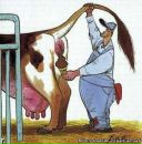 Фотография Гри Виктории