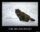Олег Цебрій фотография #49 (источник - https://vk.com/id12879670)