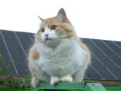 Фотография Шерстенниковой Ольги