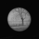 Aichetou Cheikh фотография #20 (источник - https://vk.com/id419843)