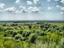 Артём Ещенко фотография #6 (источник - https://vk.com/id4400020)