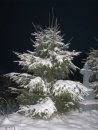 Андрій Яровський фотография #50 (источник - https://vk.com/id13898517)