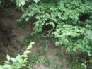Іван Фролов фотография #1