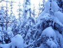 Валерій Матеящук фотография #37 (источник - https://vk.com/id28548420)