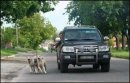 Ваня Бортнік фотография #28 (источник - https://vk.com/id26461565)