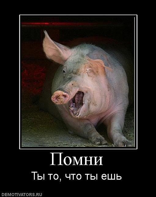 Дмитрий Ефимов фотография #23