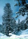 Анастасия Кирюшина фотография #42 (источник - https://vk.com/id3575645)