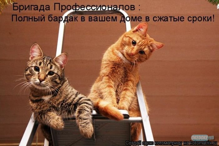 Дан Сен фотография #43