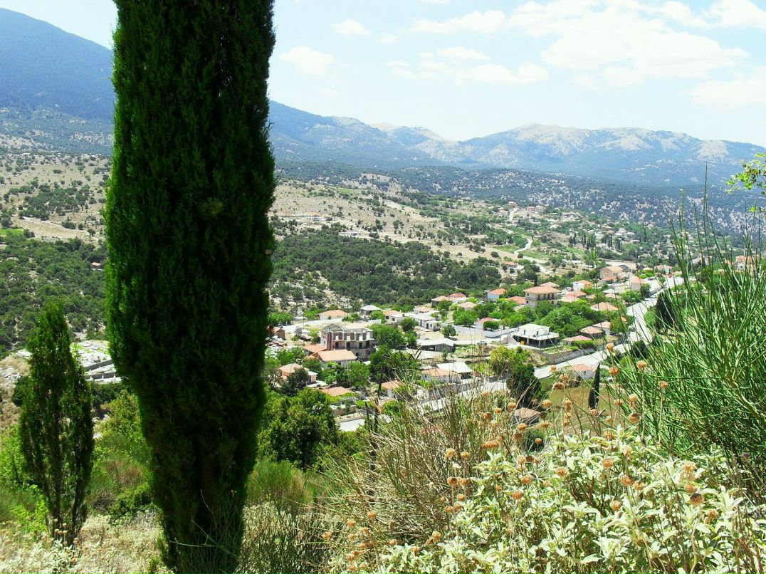 Виктория Логачева фотография #19