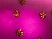 Андрій Калявський фотография #35 (источник - https://vk.com/id135350226)