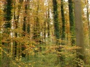 Віра Федик фотография #29 (источник - https://vk.com/id156434681)