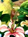 Софія Щеглюк фотография #24 (источник - https://vk.com/id209186418)