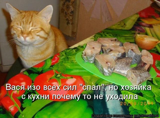 Мария Степченкова фотография #45