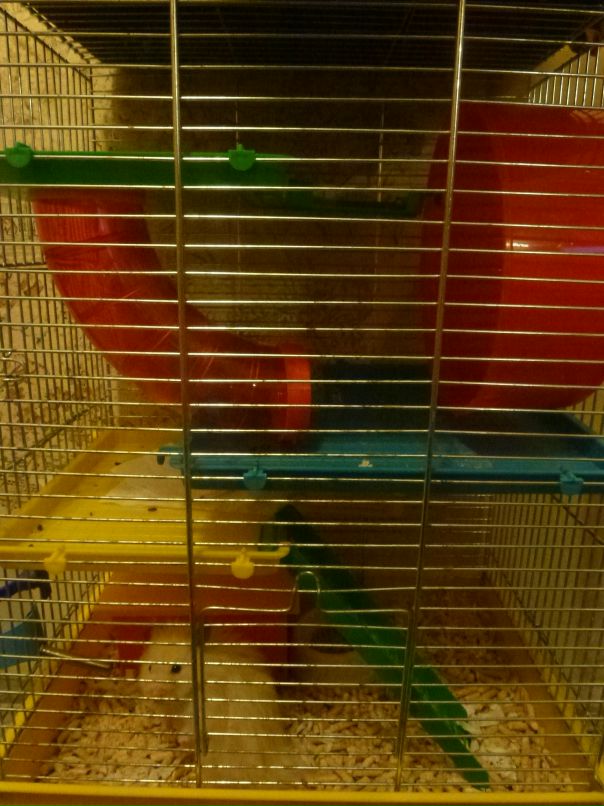 Артем Иванов фотография #22