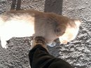Лунтік Гончар фотография #46 (источник - https://vk.com/id166818416)