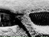 Дмитрий Сидоренко фотография #25 (источник - https://vk.com/id102488413)