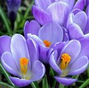 Вікторія Шкуренко фотография #23 (источник - https://vk.com/id133749946)