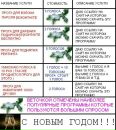 Віталік Калініч фотография #1