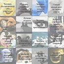 Фотография Стрелковой Татьяны