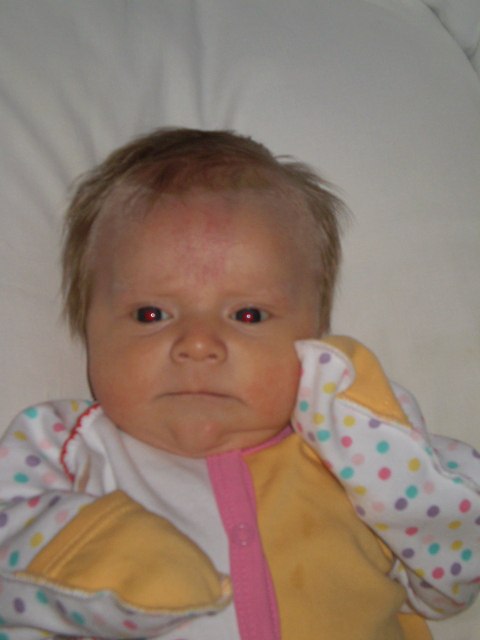 Дмитрий Вегера фотография #9