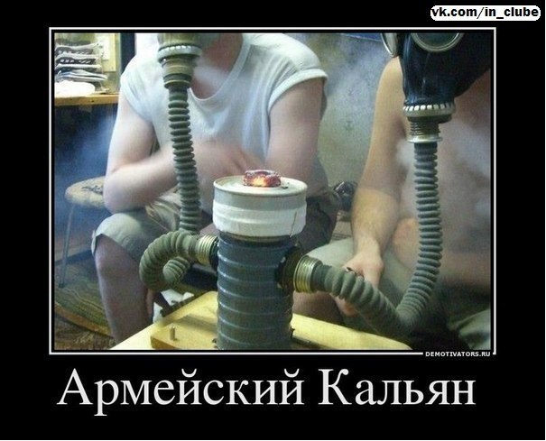 Федя Трахтенберг фотография #4