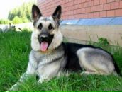 Ярик Сусляк фотография #13 (источник - https://vk.com/id6677792)