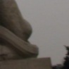 Влад Вічистий фотография #6 (источник - https://vk.com/id147663027)