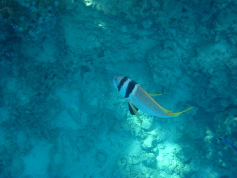 Борис Кишкилев фото №11