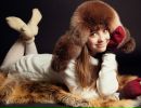 Фотография Братцевской Кристины