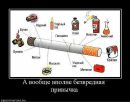 Серік Бабенко фотография #45 (источник - https://vk.com/id162499783)