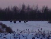 Вова Воєвода фотография #50 (источник - https://vk.com/id65929143)