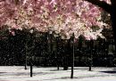 Фотография Комаровой Елены