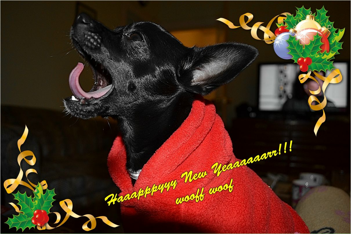 Olya Shepel фотография #40