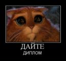 Фотография Смирновой Вероники