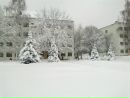 Вітя Штогрин фотография #39 (источник - https://vk.com/id153915502)